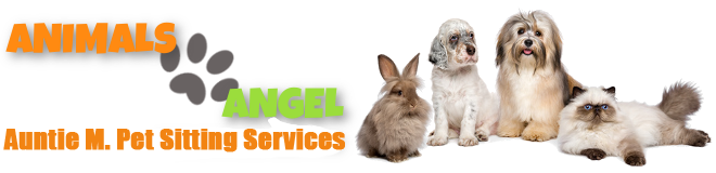 | animals-angel.co.uk | Pet Sitting Service | Angels For Animals | Chesterfield | Sheffield | Dronfield |